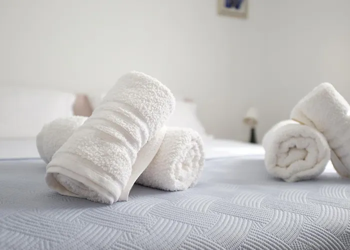 Grape Apartament Pirovac